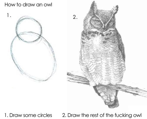 Draw an owl